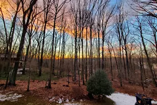 10101 Lloyd Rd, Potomac, MD 20854 - Photo 61