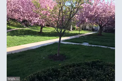 4920 Bradley Boulevard #237, Chevy Chase, MD 20815 - Photo 27
