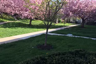 4920 Bradley Blvd, Chevy Chase, MD 20815 - Photo 27