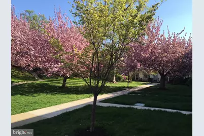 4920 Bradley Boulevard #237, Chevy Chase, MD 20815 - Photo 3