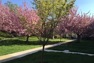 4920 Bradley Blvd, Chevy Chase, MD 20815 - Photo 3