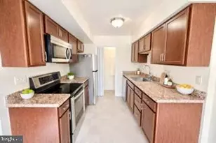 14905 Cleese Ct, Silver Spring, MD 20906 - Photo 5