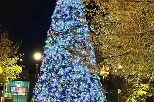 5809 Nicholson Ln, Rockville, MD 20852 - Photo 63