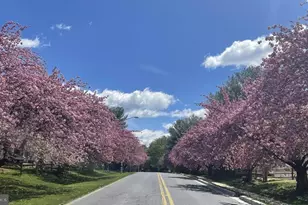 13 Pickering Ct, Germantown, MD 20874 - Photo 43