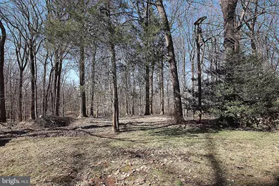 13404 Dowlais Drive, Rockville, MD 20853 - Photo 3