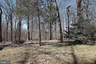 13404 Dowlais Dr, Rockville, MD 20853 - Photo 3