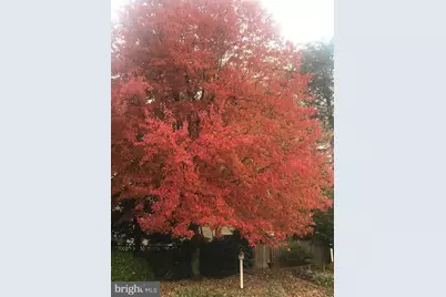 14516 Whirlaway Lane, North Potomac, MD 20878 - Photo 13