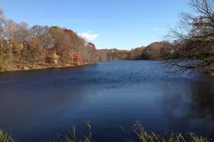 19109 Brooke Grove Ct, Montgomery Village, MD 20886 - Photo 49