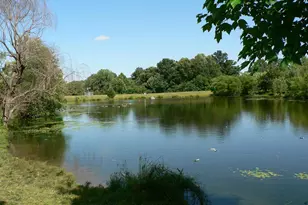 807 Winhall Way, Silver Spring, MD 20904 - Photo 73