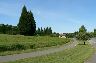 807 Winhall Way, Silver Spring, MD 20904 - Photo 71