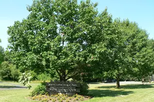 807 Winhall Way, Silver Spring, MD 20904 - Photo 67