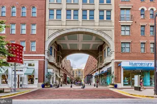 4535 Avondale St, Bethesda, MD 20814 - Photo 17