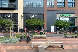 4535 Avondale St, Bethesda, MD 20814 - Photo 21