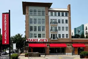 38 Maryland Ave, Rockville, MD 20850 - Photo 35