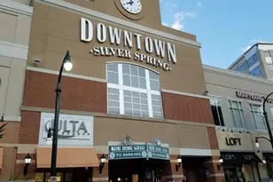 12605 Bluhill Rd, Silver Spring, MD 20906 - Photo 5