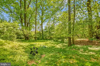 9115 Levelle Drive, Chevy Chase, MD 20815 - Photo 41