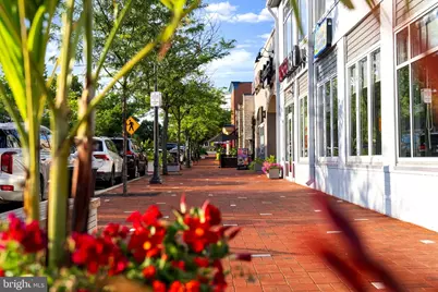 75 Swanton Mews #200, Gaithersburg, MD 20878 - Photo 59