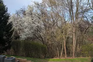 18715 Sparkling Water Dr, Germantown, MD 20874 - Photo 17