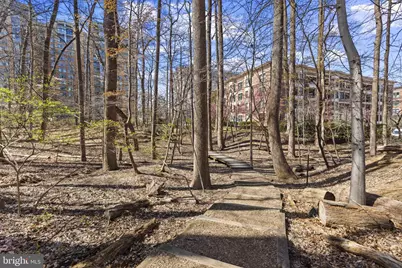 10620 Weymouth Street #1, Bethesda, MD 20814 - Photo 39