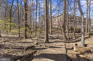 10620 Weymouth St, Bethesda, MD 20814 - Photo 39