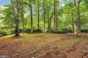 16420 Black Rock Rd, Darnestown, MD 20874 - Photo 83