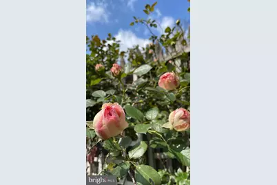 17736 Larchmont Terrace, Gaithersburg, MD 20877 - Photo 31