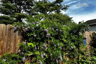 17736 Larchmont Terrace, Gaithersburg, MD 20877 - Photo 33