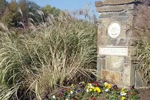 628 Bright Meadow Mews, Gaithersburg, MD 20878 - Photo 31