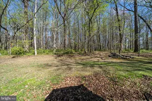 15211 Avery Rd, Rockville, MD 20855 - Photo 53