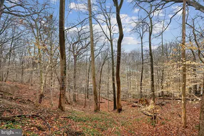 700 Chaney Drive, Takoma Park, MD 20912 - Photo 9