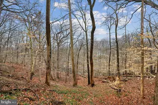 700 Chaney Dr, Takoma Park, MD 20912 - Photo 9