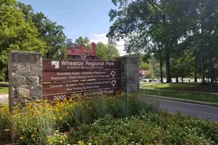 11321 College View Dr, Silver Spring, MD 20902 - Photo 69