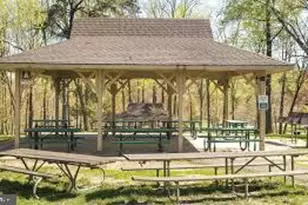 11321 College View Dr, Silver Spring, MD 20902 - Photo 83