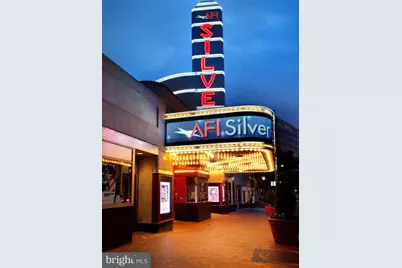 1320 Fenwick Lane #6, Silver Spring, MD 20910 - Photo 43