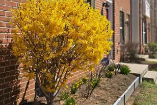 3556 Woodlake Dr, Silver Spring, MD 20904 - Photo 5