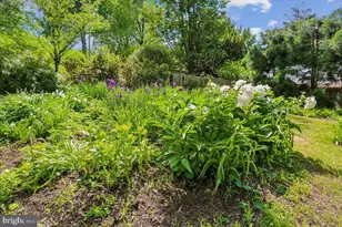 6404 Western Ave, Chevy Chase, MD 20815 - Photo 97