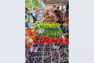 900 Bonifant Street E #C, Silver Spring, MD 20910 - Photo 41