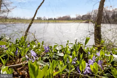 801 Linslade Street, Gaithersburg, MD 20878 - Photo 77