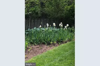 4716 Merivale Road, Chevy Chase, MD 20815 - Photo 39