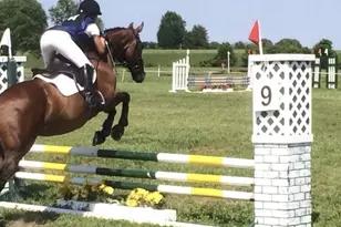 11520 Luvie Ct, Potomac, MD 20854 - Photo 25