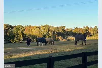 11520 Luvie Court, Potomac, MD 20854 - Photo 21