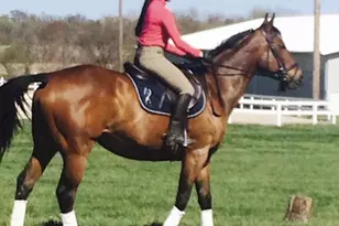 11520 Luvie Ct, Potomac, MD 20854 - Photo 27