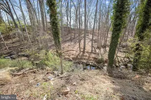 9720 Hedin Dr, Silver Spring, MD 20903 - Photo 69