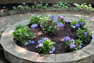 5602 Ogden Rd, Bethesda, MD 20816 - Photo 13