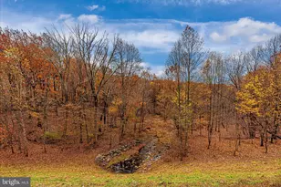 25538 Joy Ln, Damascus, MD 20872 - Photo 41