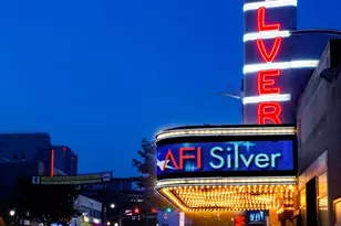 8306 Queen Annes Dr, Silver Spring, MD 20910 - Photo 33