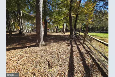 15204 Water Oak Drive, Gaithersburg, MD 20878 - Photo 13