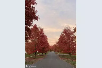 3006 Novak Terrace, Burtonsville, MD 20866 - Photo 63