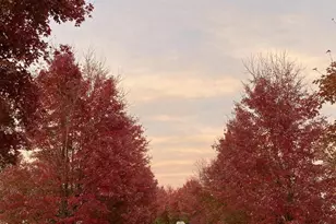 3006 Novak Terrace, Burtonsville, MD 20866 - Photo 63