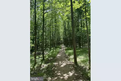 3006 Novak Terrace, Burtonsville, MD 20866 - Photo 67